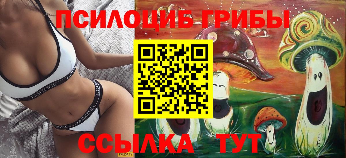 Псилоцибиновые грибы мицелий Выборг